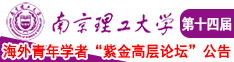 操逼看南京理工大学第十四届海外青年学者紫金论坛诚邀海内外英才！